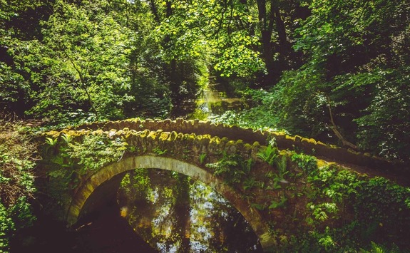 Jesmond Dene, Newcastle Upon Tyne